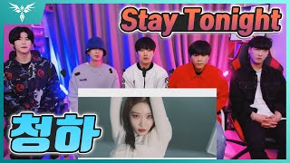 【리뷰】청하 Stay Tonight 뮤비 리액션!! CHUNG HA 'Stay Tonight' REACTION