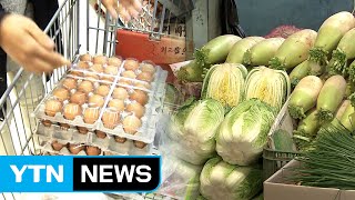 달걀 이어 채솟값도...설 앞두고 밥상물가 비상 / YTN (Yes! Top News)