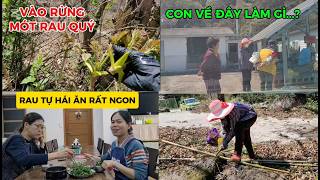 264# VÀO RỪNG TÌM MÓT ĐỌT GAI và CẮT ÍT TRE VỀ ĐỂ DÀNH TRỒNG RAU..LUỘC RAU RỪNG ĂN CÙNG EM CHỒNG..