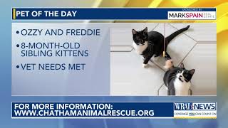 Pet of the Day: Dec. 22, 2024