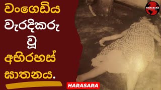 වංගෙඩිය වැරදිකරු වූ අභිරහස් ඝාතනය | Mysterious murders in which Mortar is the culprit