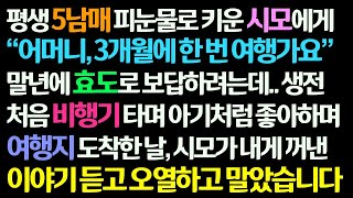 (감동사연) 평생 5남매 피눈물로 키운 시모께 효도하려 3개월에 한 번 여행가자며 비행기 태워주는데. 여행 첫 날 시모의 이야기 듣고 대성통곡하는데/신청사연/라디오드라마/사연라디오