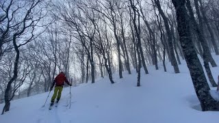 雛岳 Deep powder‼︎ 2022.2.6 八甲田