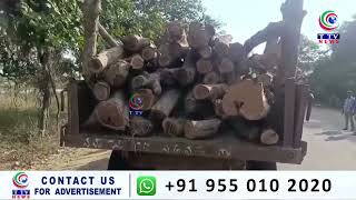 Illegal Harvesting of Teak Wood in Kamareddy District, Seized by Forest Officials