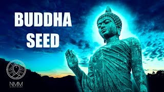 Buddhist Meditation Music for Positive Energy: "Buddha seed", Buddhist music, Calming music 42404B