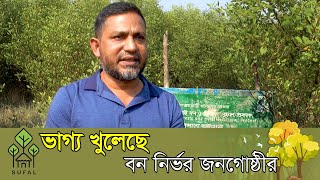 সুফল প্রকল্পের মাধ্যমে ভাগ্য খুলছে বন নির্ভর জনগোষ্ঠির । Afforestation through SUFAL Project