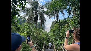 Walking Tour of Iguazu Falls: Brazil vs Argentina Adventure!