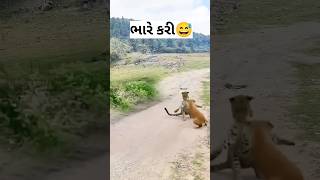 😝 ભારે કરી #shorts #shortvideo #youtubeshorts