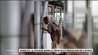 Insolite : il voyage dans les trains d'atterrissage de l'avion