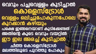 വെറും പച്ചവെള്ളവും ഈ ഇലയും അരച്ച് കുടിച്ചാൽ കൊളെസ്റ്ററോൾ വെള്ളം ഒലിച്ചുപോവുന്ന പോലെ കുറക്കാൻ കഴിയും