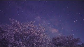 2022年4月の星空　満開の桜と天の川（SONYα7SⅢリアルタイム動画）