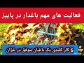 میزان آبیاری درختان در پاییز و زمستان، نکات مهم آموزشی باغبانی با آزاد