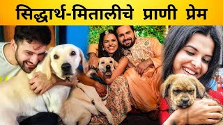 सिद्धार्थ-मितालीचे प्राणी प्रेम | Siddharth Chandekar & Mitali Mayekar | sidmitali | itsmajja