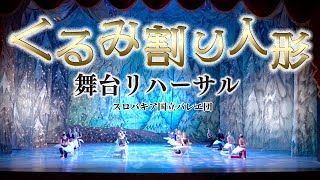 【悲報】最初で最後のくるみ割り人形舞台リハーサル！今年の公演は全部キャンセルになりました。【The Nutcracker】