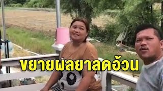 ตามรวบพ่อค้า ขายสารไซบูลทรามีน ส่งโรงงานผลิตยาลดความอ้วน