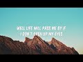 Avicii - Wake Me Up (Lyrics) 🍀Songs with lyrics