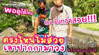 ไม้เด็ด EP.8 | เปิดกรุของสะสม บอนสีเด็ด ๆ ของพี่สมหมายแห่งสวนพิชญา