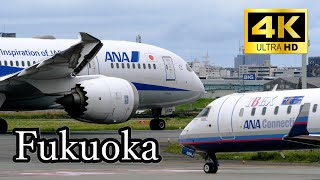 [4K] [飛行機 動画] Plane Spotting at Fukuoka Airport in Japan /福岡空港 2022/6/15