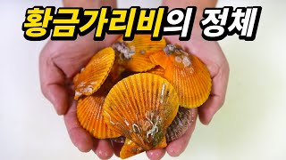 색깔이 예뻐서 사먹었는데... 의문 투성인 황금가리비의 맛은?