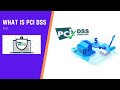 What is PCI DSS