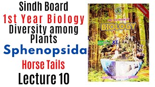 Sphenopsida (Horse Tails) Diversity among plants || 1st year biology Sindh text book board new book