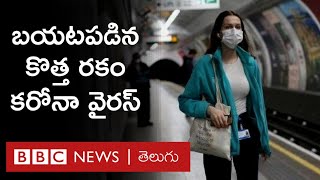 బయటపడిన కొత్త రకం Coronavirus‌.. వెయ్యి మందికి సోకిన ఇన్ఫెక్షన్ | BBC TELUGU