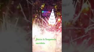 ARBOLITO DE NAVIDAD#elsalvador #nayibbukele#los50dejoselito #arbolitodenavidad#viral#trendingvideo