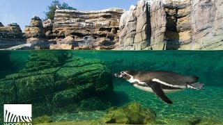 Visite, Woodland park zoo (Seattle)