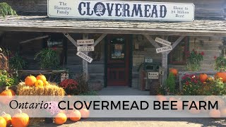 Clovermead Adventure Farm in Aylmer • Ontario • Canada