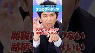 【大川智宏】2025年・日本株「2つのアイディア」