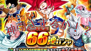 ドッカンバトル！龍石で66連ガチャ！爆死！？