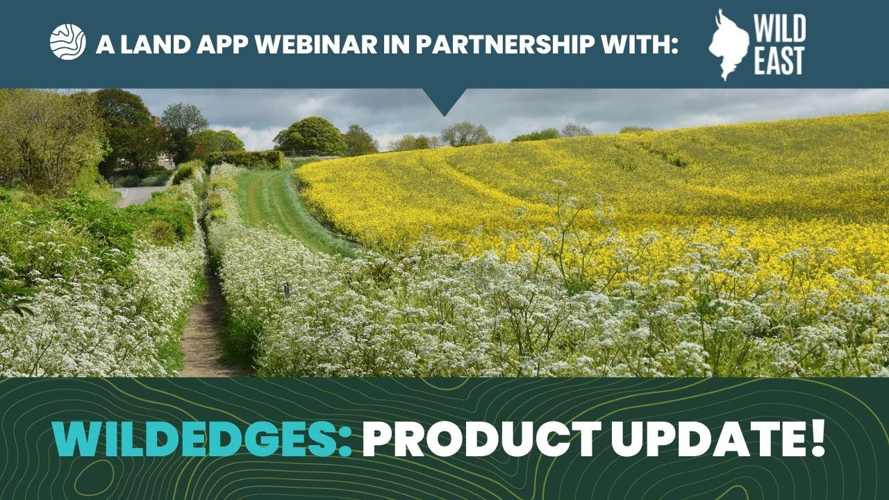 Wildedges Product Update Youtube