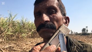 ASMR Fantastic Straight Razor🔥 But Barber is the Blade Razor🚫 With Smooth shave 🪒