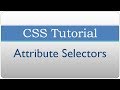 CSS Tutorial 35 - Attribute Selectors