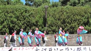 2012 大江戸ソーラン祭り（流　東京支部）