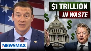 Carl Higbie: The government 'lights money on fire'