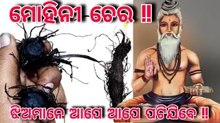 ମୋହିନୀ ଚେର !! | mohini Chera | mohini | mohini Vidya | tantra mantra mohini Vidya | mohini mantra