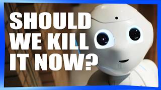 Asking Authors About The Ai Explosion