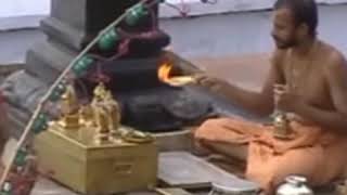 Shri Moola Rama devara Pooja