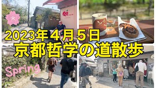 2023年4月5日 京都外国人観光客で賑わう桜咲く哲学の道を歩くWalkingaround Tetsugaku no michi ,Kyoto【4K】