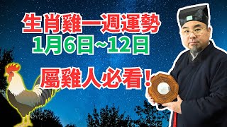 命理測算：屬雞人一週運勢（1月6日至12日），有吉凶日命理提醒，不可不看！ #2025年生肖雞運勢 #2025年生肖雞運程 #2025年屬雞運勢 #2025年屬雞運程