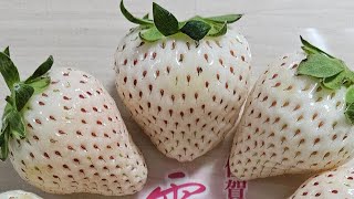 Nakatikim ka na ba ng WHITE STRAWBERRIES?