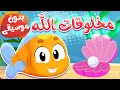 أغنية مخلوقات الله بدون موسيقى | قناة هدهد - Hudhud