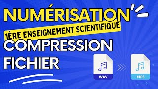 Paramètres de numérisation et compression d'un fichier son - ENSEIGNEMENT SCIENTIFIQUE