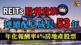 REITs股利貴族，連續配息成長53年，年化報酬率6%的房地產股票，存股族必看！｜美股價值投資-FRT｜EP22