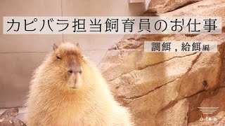 【密着】カピバラ担当飼育員に密着してみた！