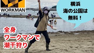 【全身ワークマンで潮干狩り】横浜、海の公園は無料で潮干狩りが楽しめる！