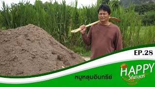 Happy วิถีเกษตร EP.28  หมูหลุมอินทรีย์