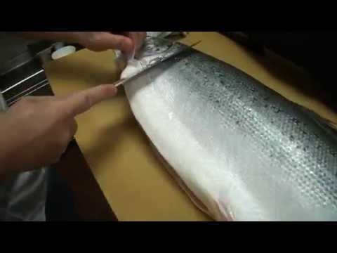 How To Fillet a Whole Salmon - How To Make Sushi Series How To Fillet a Whole Salmon - How To Make Sushi Series