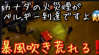 【猛烈】カナダ火災煙がベルギー到達‼️そして、突然、暴風の嵐に‼️【株くんお天気日記】